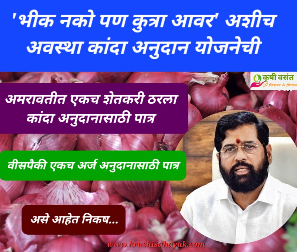 Onion Subsidy Maharashtra