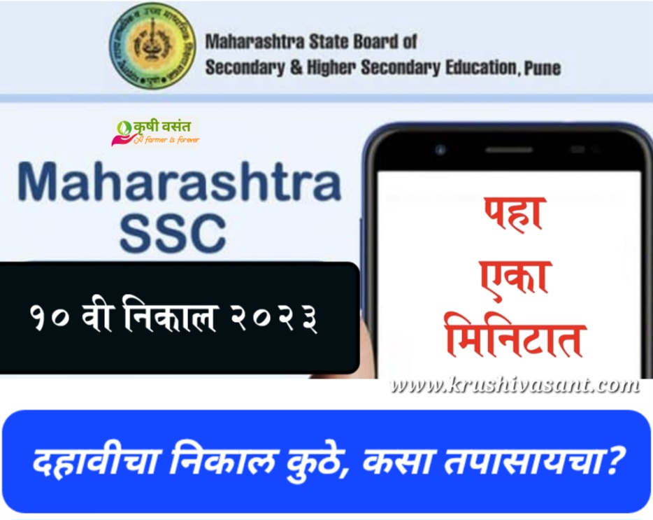 Maharashtra SSC Result 2023 दहावीचा निकाल कुठे, कसा तपासायचा?
