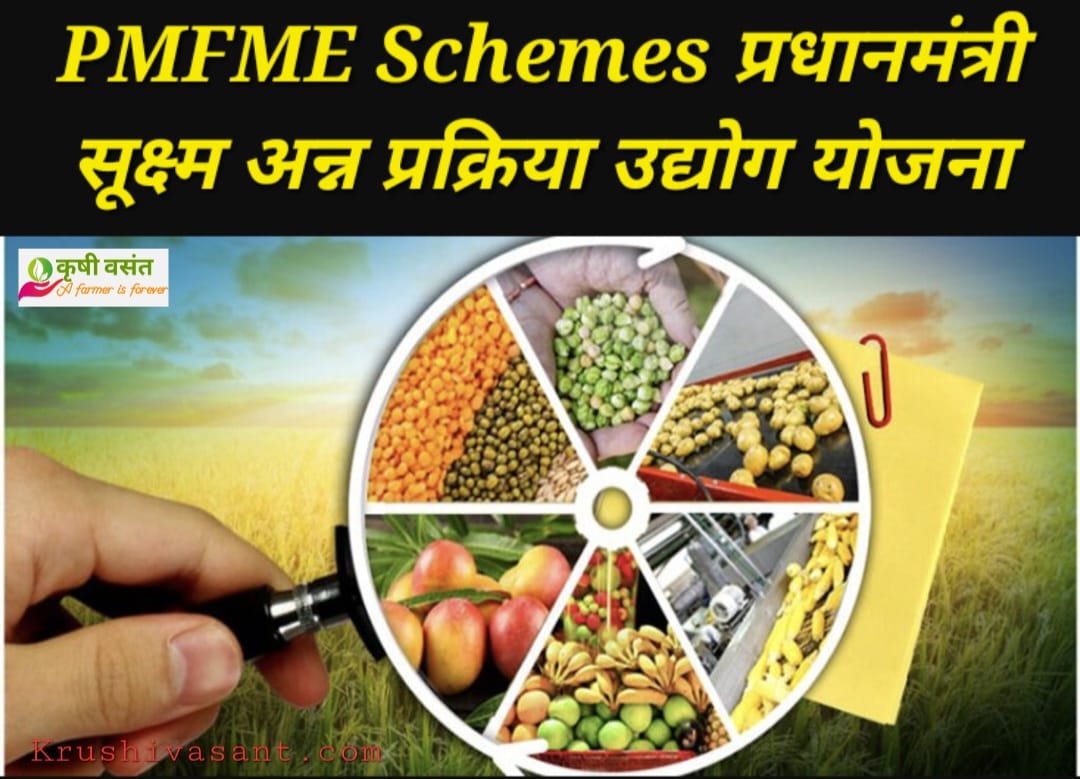 PMFME Schemes 2023 प्रधानमंत्री सूक्ष्म अन्न प्रक्रिया उद्योग योजना