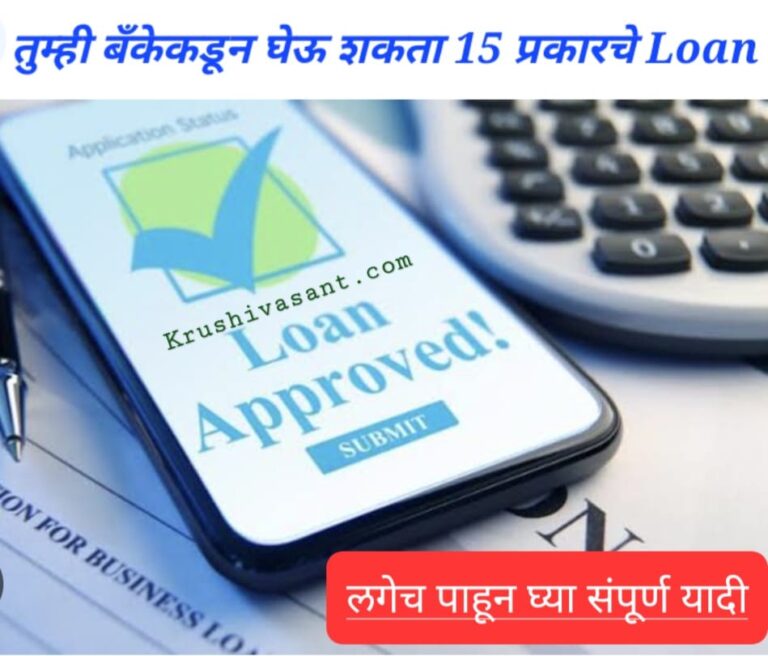 How many types of loan in India