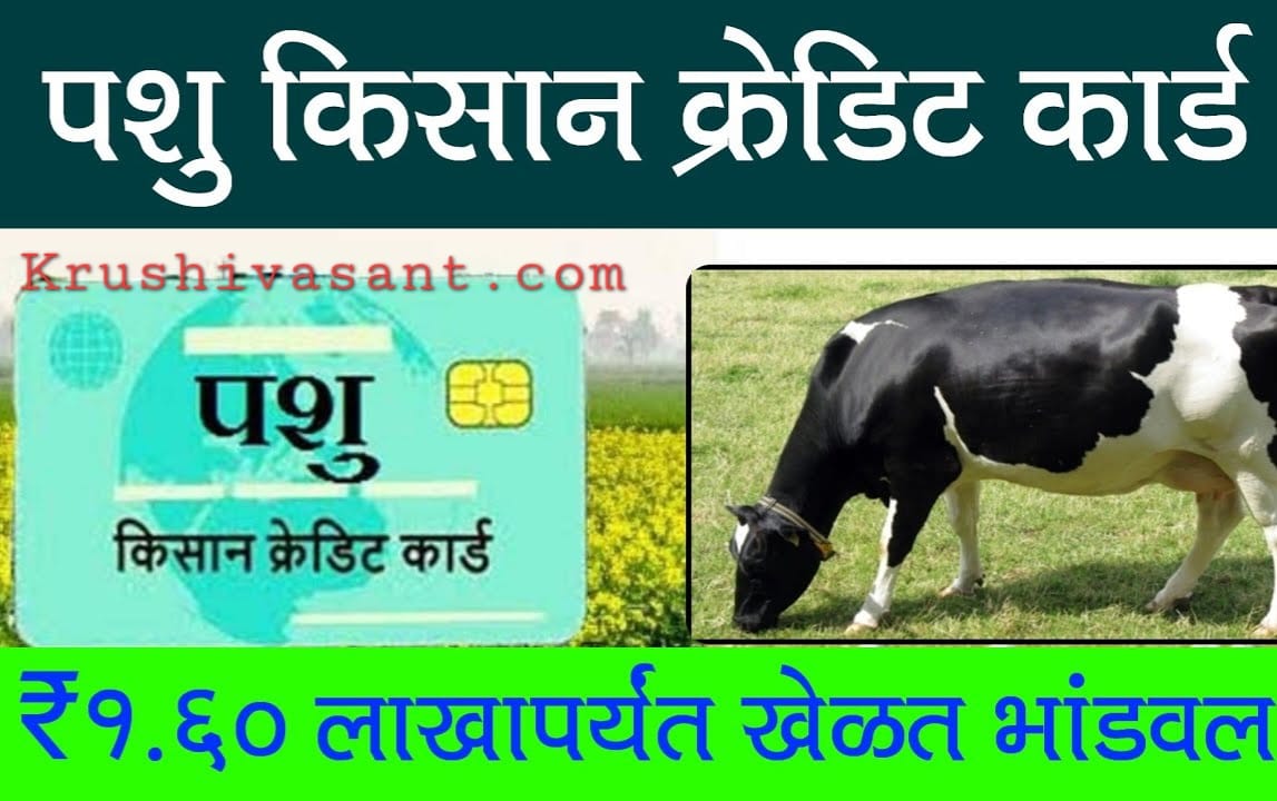 pashu kisan credit card 2023 पशु पालकांसाठी किसान क्रेडिट कार्ड