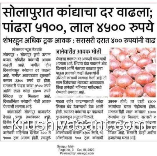 today small onion rate सोलापुरात कांद्याचा दर वाढला; पांढरा 5100, लाल 4500 रुपये