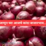Onion price in kerala