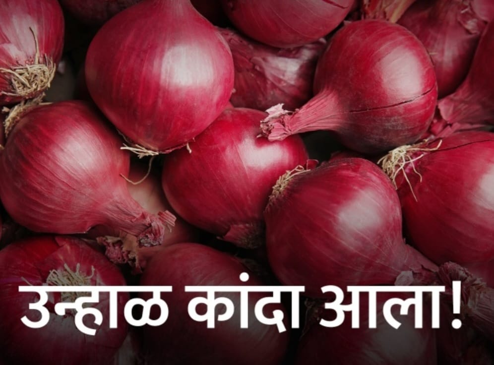 today onion rate in pune