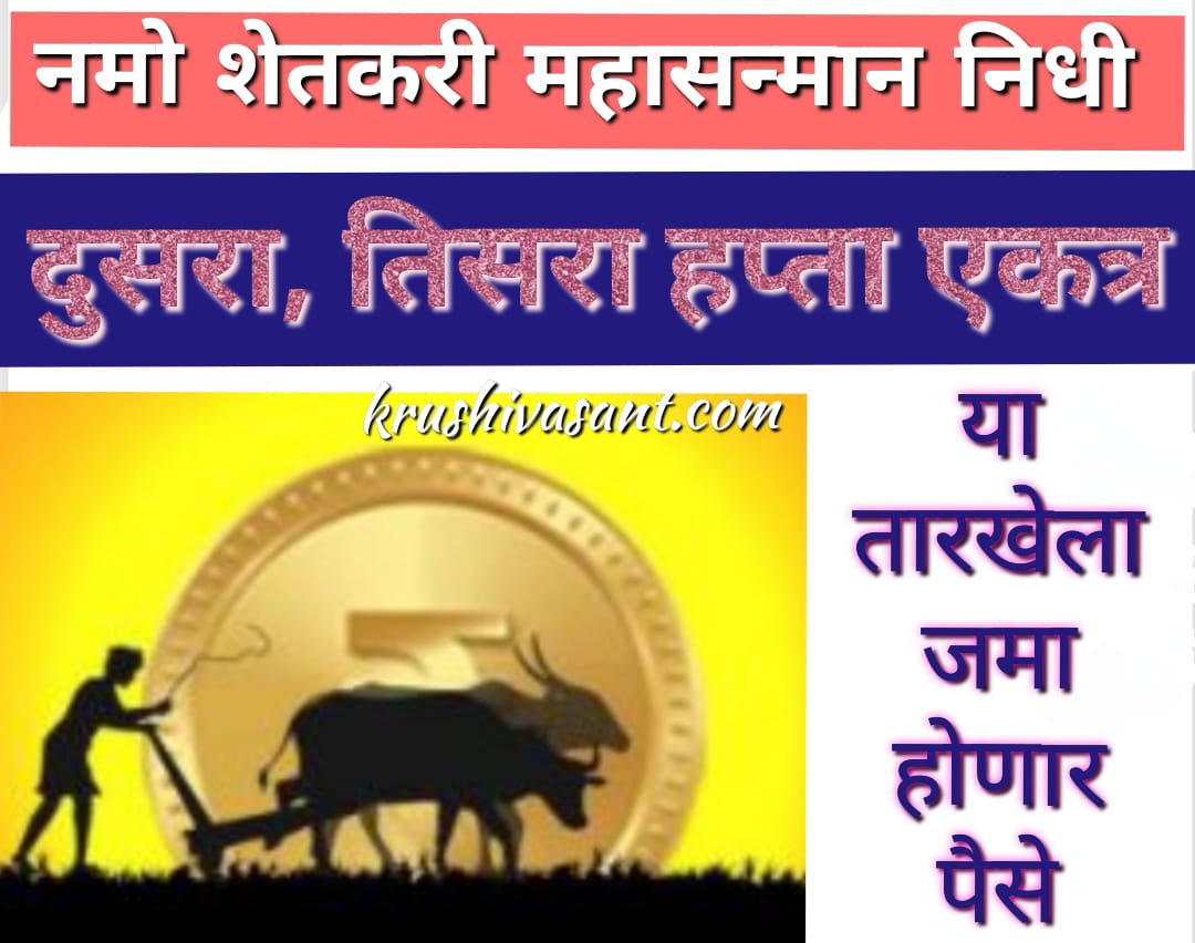Namo shetkari 2024 नमो शेतकरीचा दुसरा, तिसरा हप्ता एकत्र, निधी वितरीत
